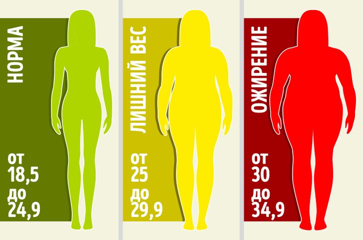 Мужчина 14 жира. Распределение жира на теле. Жир на теле женщины. Паспределениядира в организме. Распределение жира в теле женщины.