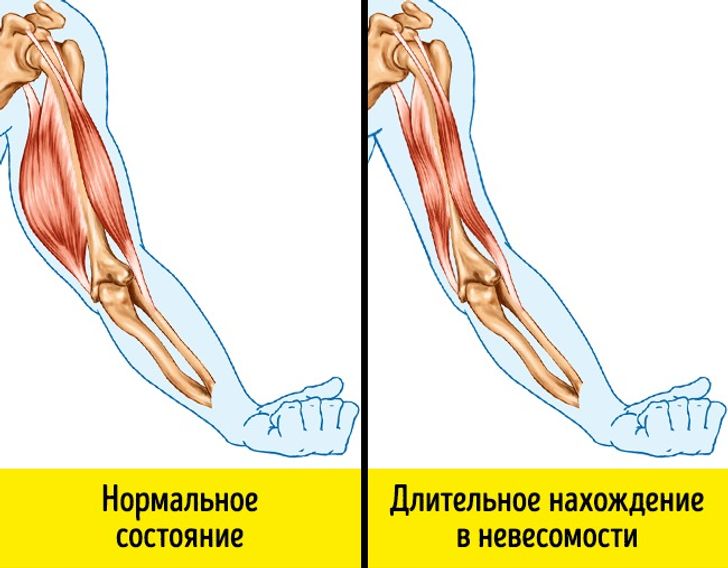 Как реагирует телефон на прививку