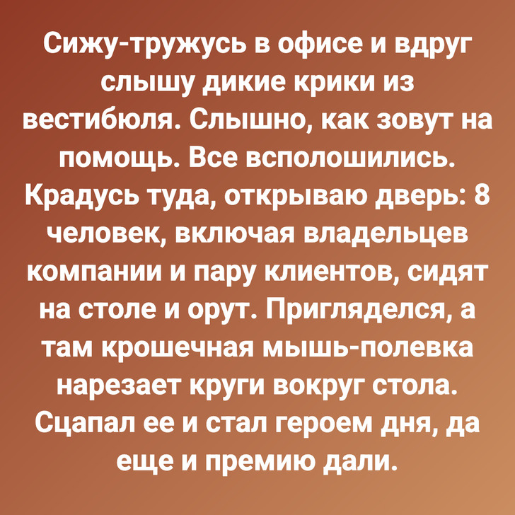 Сижу-тружусь в офисе и вдруг слышу дикие крики из вестибюля. Слышно, как зовут на помощь. Все всполошились. Крадусь туда, открываю дверь: 8 человек, включая владельцев компании и пару клиентов, сидят на столе и орут. Пригляделся, а там крошечная мышь-полевка нарезает круги вокруг стола. Сцапал ее и стал героем дня, да еще и премию дали.