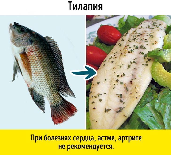 Можно ди рыба. Полезная рыба. Какую рыбу нельзя кушать. Полезная и вредная рыба. Какие рыбы можно кушать.
