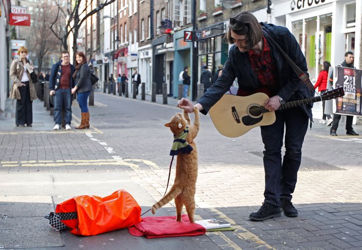 Как уличный кот по имени Боб спас жизнь бедного музыканта и прославил его  на весь мир / AdMe