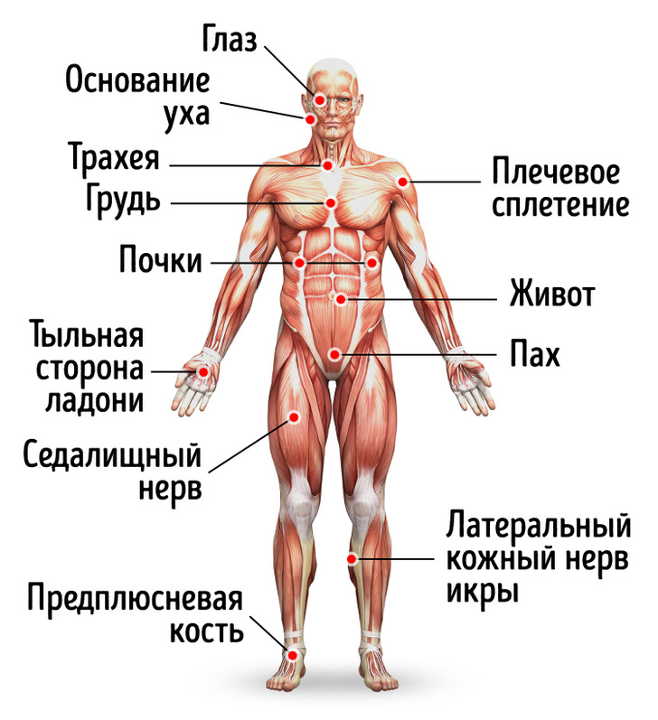 Названия точек человека. Болевые точки на теле организма. Уязвимые точки на теле человека и способы воздействия. Самые болевые точки на теле человека.