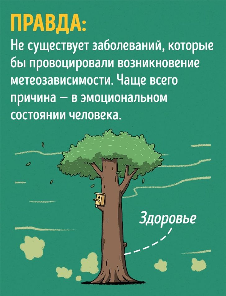 Что вы наблюдаете объясните наблюдаемые явления опишите интерференционную картину компакт диск