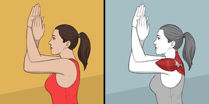 9 упражнений для растяжки, которые могут заменить поход к массажисту / AdMe