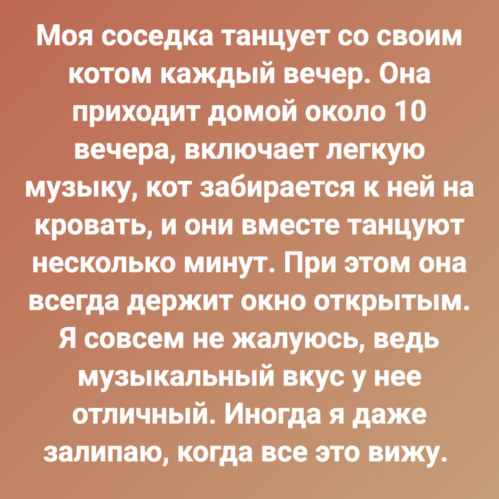 Моя соседка танцует со своим котом каждый вечер. Она приходит домой около 10 вечера, включает легкую музыку, кот забирается к ней на кровать, и они вместе танцуют несколько минут. При этом она всегда держит окно открытым. Я совсем не жалуюсь, ведь музыкальный вкус у нее отличный. Иногда я даже залипаю, когда все это вижу.