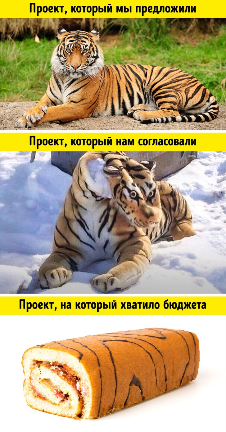 Рулет мем. Мемы с тигром и рулетом. Тигриный рулет. Мем про тигра и рулет. Тигр рулет прикол.