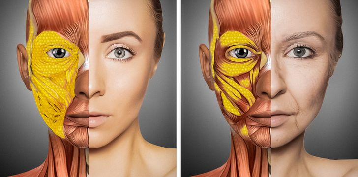 Как меняется наше тело после 30 лет и почему лицо усиленно стареет / AdMe