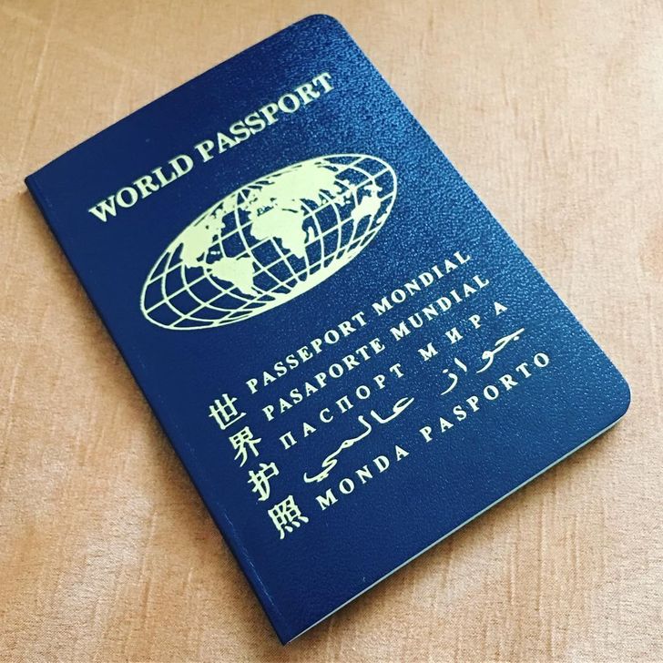 Фото На Паспорт На Мира
