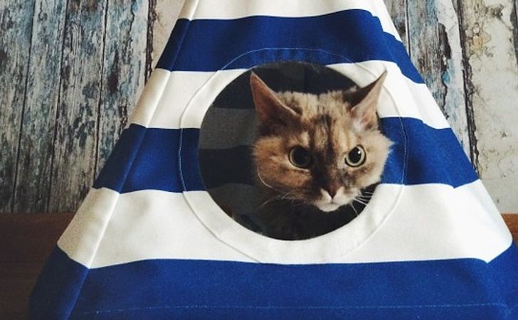 15 вещей, которые стоит узнать, прежде чем снимать квартиру