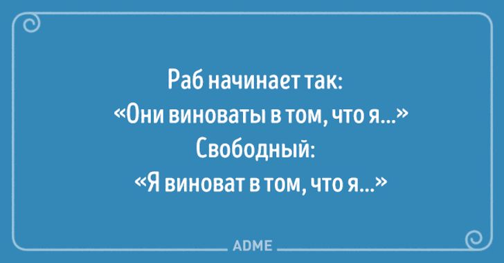 Образовательный журнал со вкусом. Цитаты Жванецкого смешные о женщинах. Открытки с фразами Михаила. Это они виноваты. Лысина это Полянка вытоптанная мыслями.