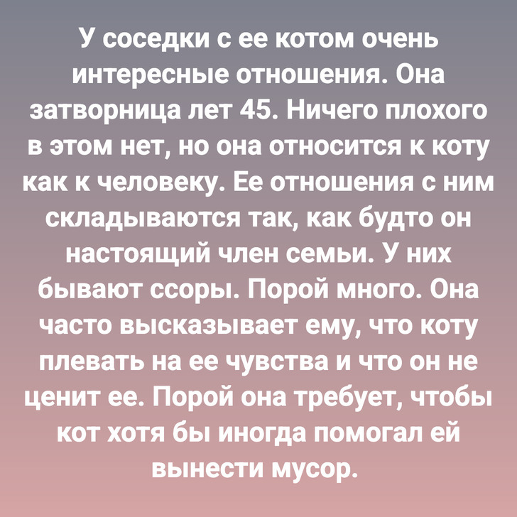 У соседки с ее котом очень интересные отношения. Она затворница лет 45. Ничего плохого в этом нет, но она относится к коту как к человеку. Ее отношения с ним складываются так, как будто он настоящий член семьи. У них бывают ссоры. Порой много. Она часто высказывает ему, что коту плевать на ее чувства и что он не ценит ее. Порой она требует, чтобы кот хотя бы иногда помогал ей вынести мусор.