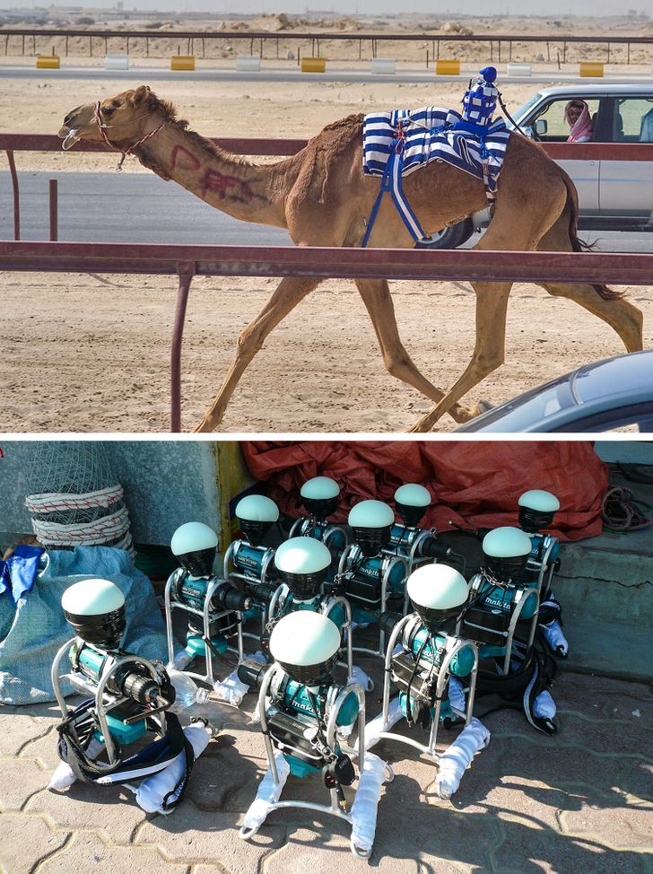 20+ фактов об Омане — стране, в которой по закону нельзя выходить из себя, а за езду на грязной машине штрафуют