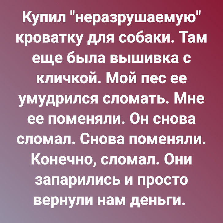 Купил "неразрушаемую" кроватку для собаки. Там еще была вышивка с кличкой. Мой пес ее умудрился сломать. Мне ее поменяли. Он снова сломал. Снова поменяли. Конечно, сломал. Они запарились и просто вернули нам деньги.