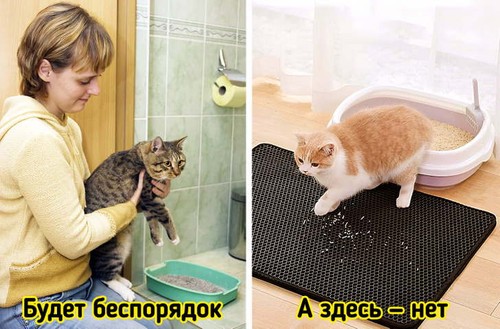 Как приготовить наполнитель для кошачьего туалета своими руками: дешевая замена покупным гранулам