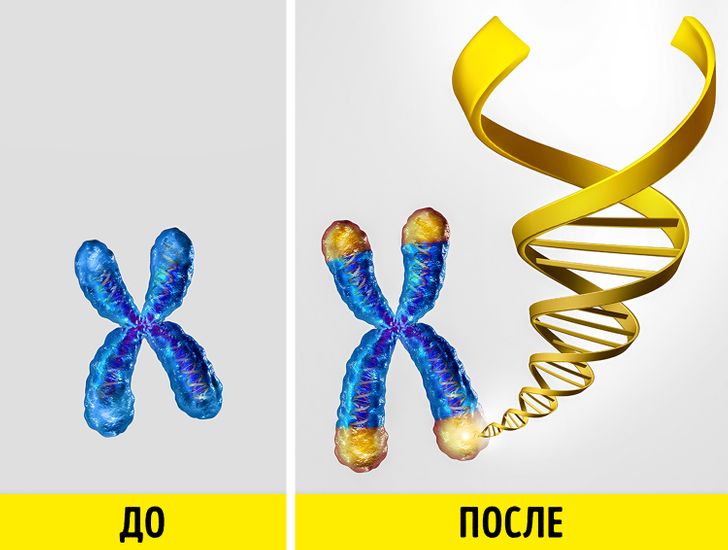 Новые Открытия За Последние 5 Лет Новые Открытия За Последние 5 Лет