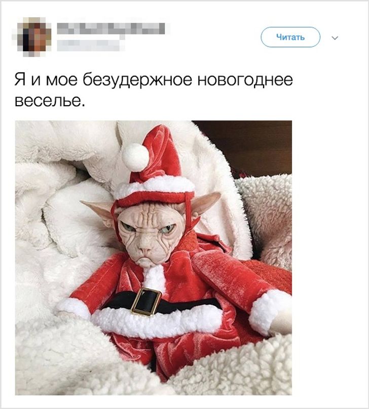 20 8 Новый Год