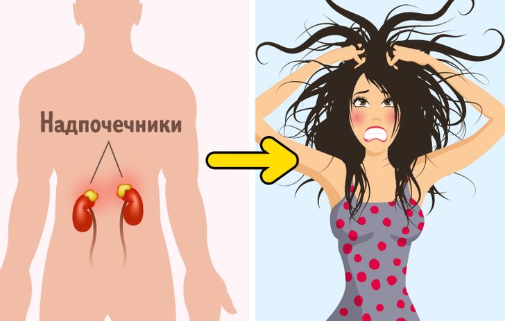 Боль в почках: причины, симптомы и когда необходимо обратиться в клинику в Краснодаре
