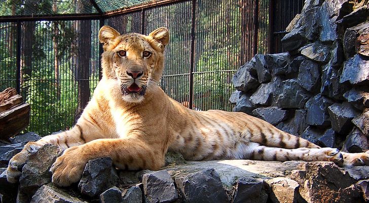 7 странных мифов, которые оказались правдой
