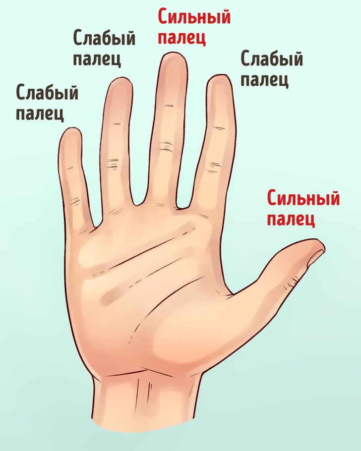 Как Выглядит Палец На Руке Фото
