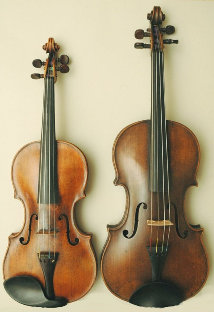 Виды скрипичных. Альт струнные смычковые музыкальные инструменты. Viola Альт. Альт (Виола) Viola. Альт инструмент музыкальный струнный.