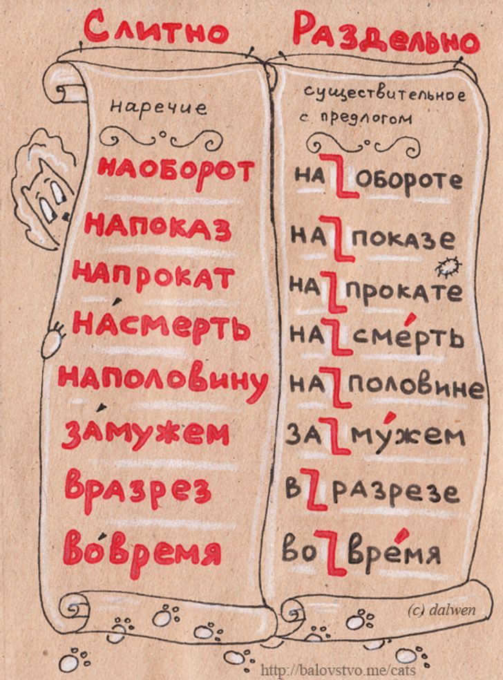 Правила Русского Языка Фото