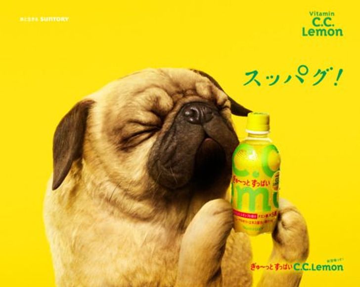 20 доказательств, что в мире нет ничего более сумасшедшего, чем японская реклама