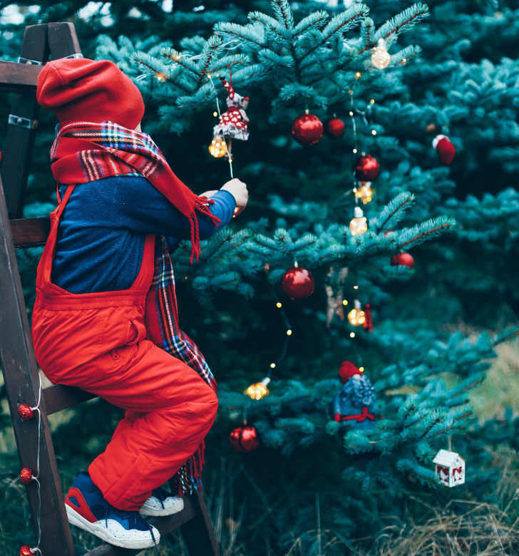 Дед Мороз против Санта-Клауса: накануне праздников решили разобраться, кто из них популярнее