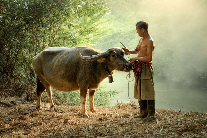 16 зрелищных кадров от фотографа, который показывает красоту Таиланда всему миру