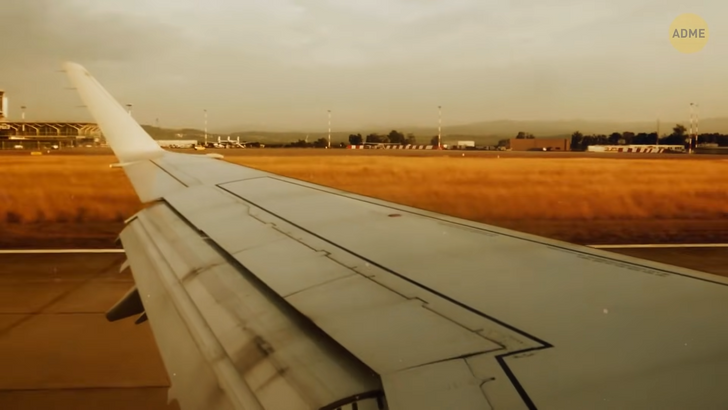 Эксперт пояснил, почему самолет оставляет белые следы в небе