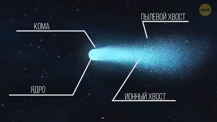 Комета Галлея предупреждает нас о грядущих бедах? / AdMe