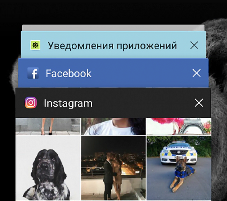 10&nbsp;������, ������� �������� ��� ��&nbsp;�������� �������� ��&nbsp;��������� ����