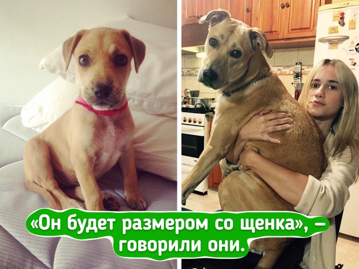 16 жизненных историй, где всё пошло совсем не по плану