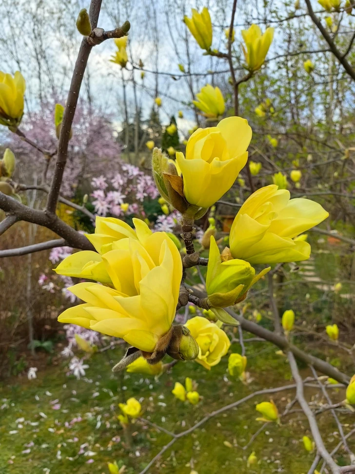 14 тёплых историй с запахом цветов и шашлыка, которые случаются только в деревне и на даче