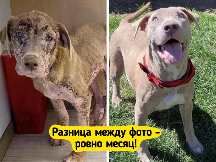 16 историй доброты, наполняющих сердце теплом