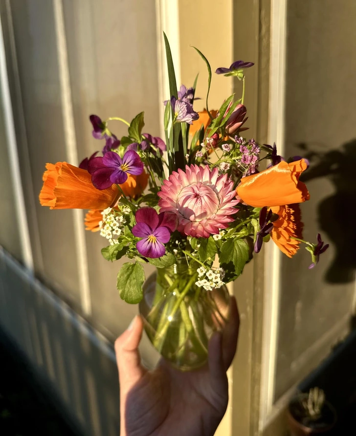 14 тёплых историй с запахом цветов и шашлыка, которые случаются только в деревне и на даче