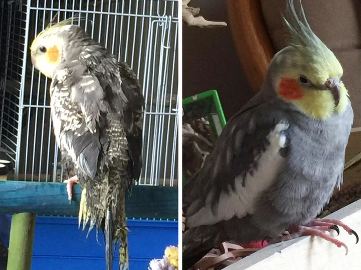 16 историй доброты, наполняющих сердце теплом