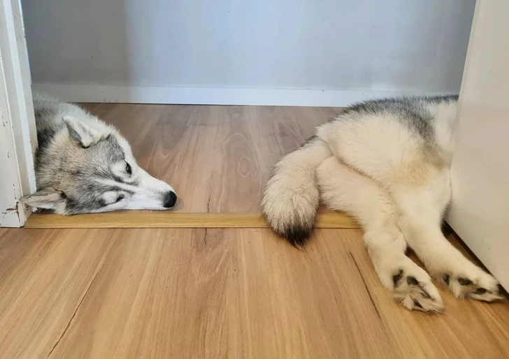 17 человек поделились моментами, когда реальность дала сбой