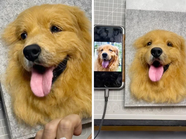 10+ невероятных историй о том, как странные хобби меняют жизнь