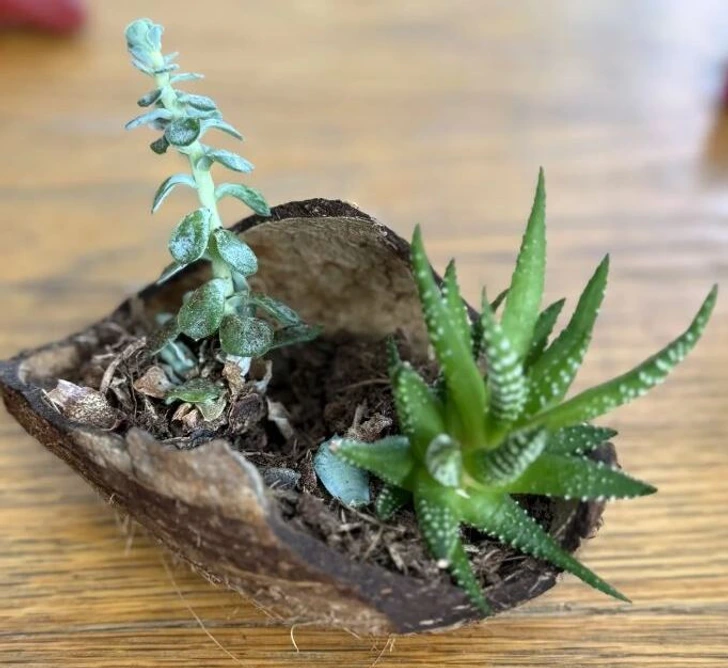 10+ невероятных историй о том, как странные хобби меняют жизнь