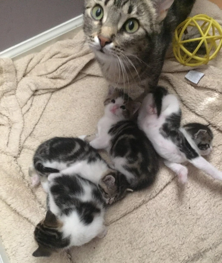 16 историй доброты, наполняющих сердце теплом